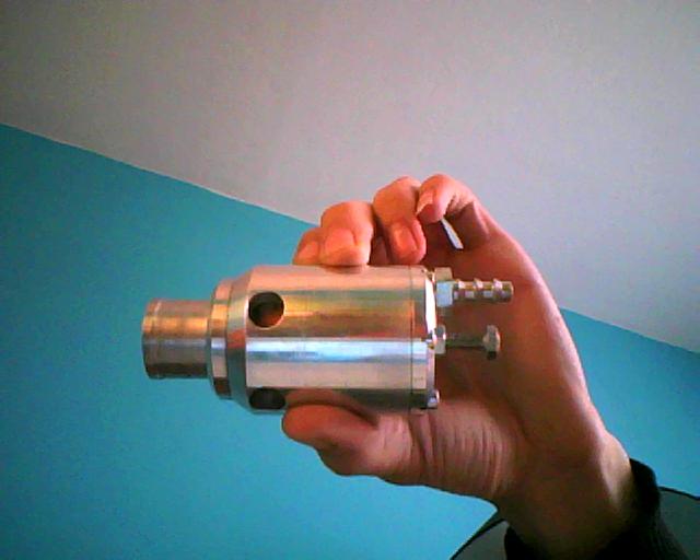 bov.JPG
