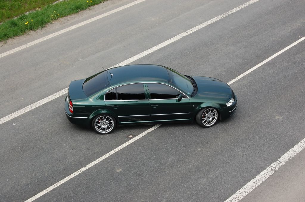 DSC_7146.jpg