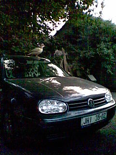 Obraz030.jpg