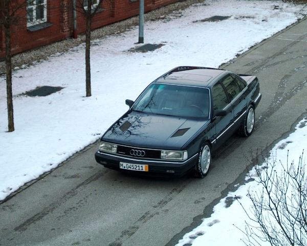 V8.jpg