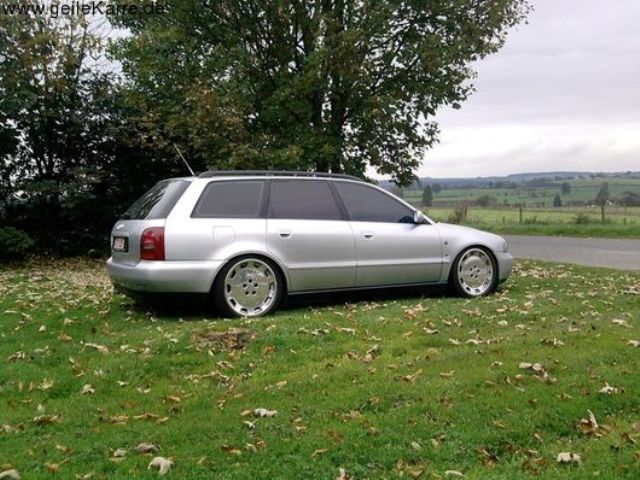 Audi_gulli.jpg