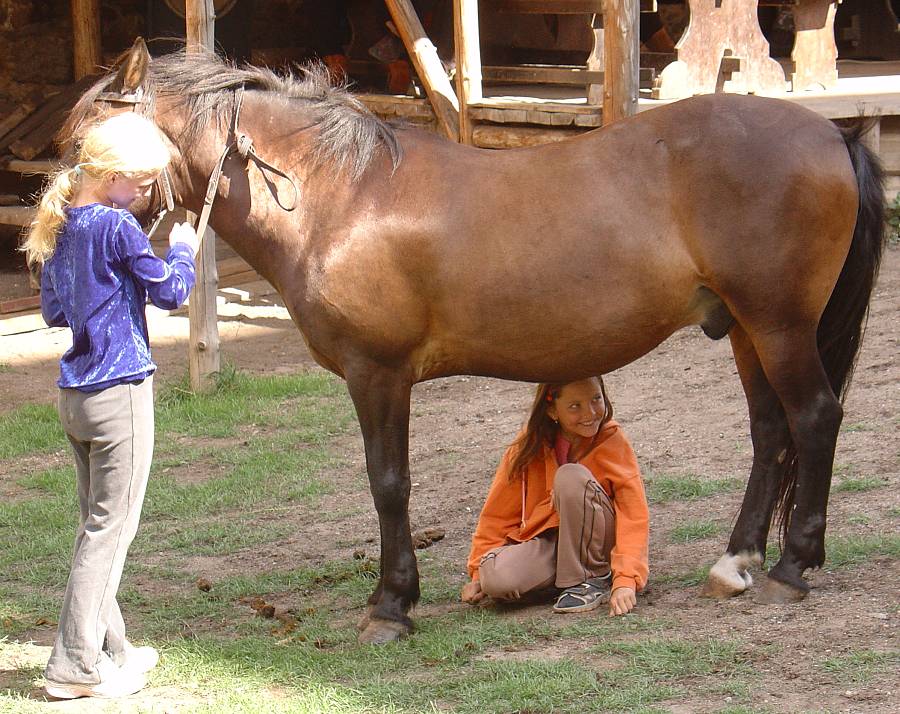 01_pedohorse.jpg