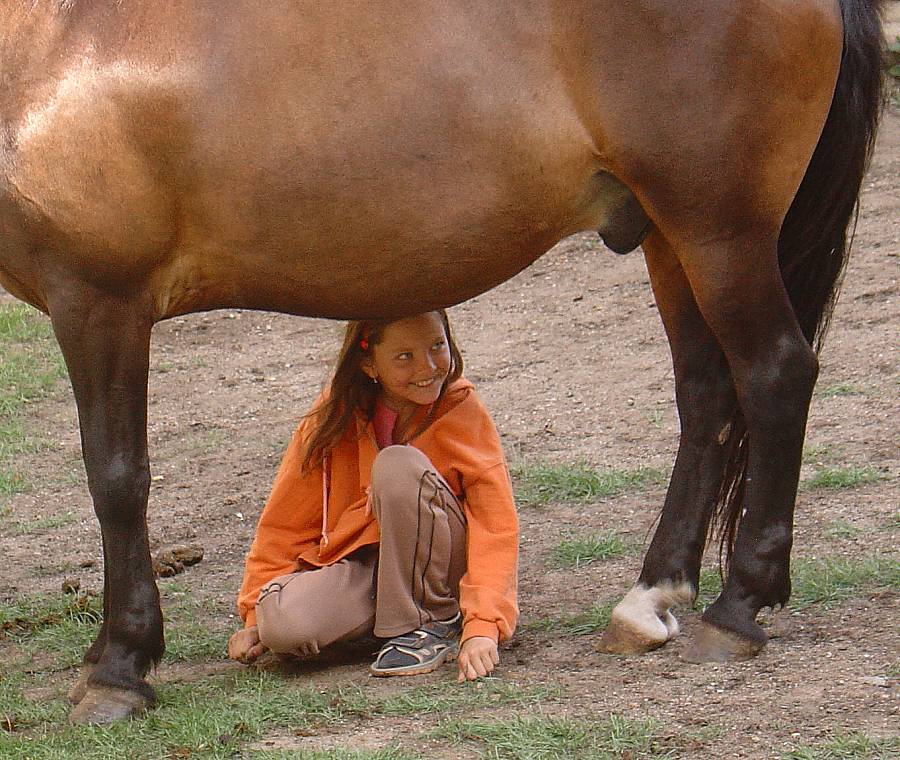 01_pedohorse_detail.jpg