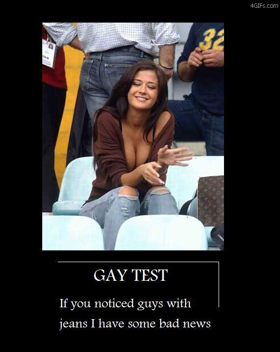 gaytesty.jpg