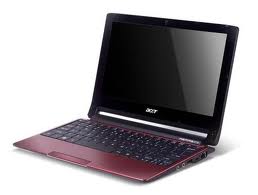 acer1.jpg