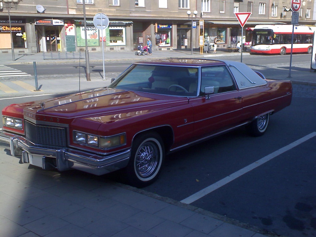 DSC02147.JPG