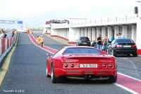 Copy of Copy of DSC_71391.jpg